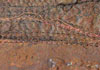 Gallery 10