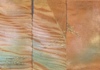 Image 4-5